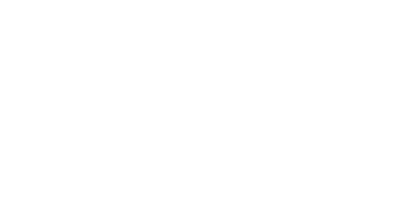 Qonsulter | IT Consulting